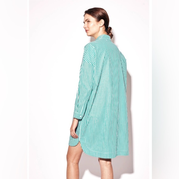 Deluc Solar Dress Green Stripe Long Sleeve  Mini Button Up Oversized Size XS - Picture 2 of 10